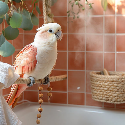 Collection image for: Bird Enrichment