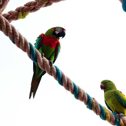 Collection image for: Pet Supplies